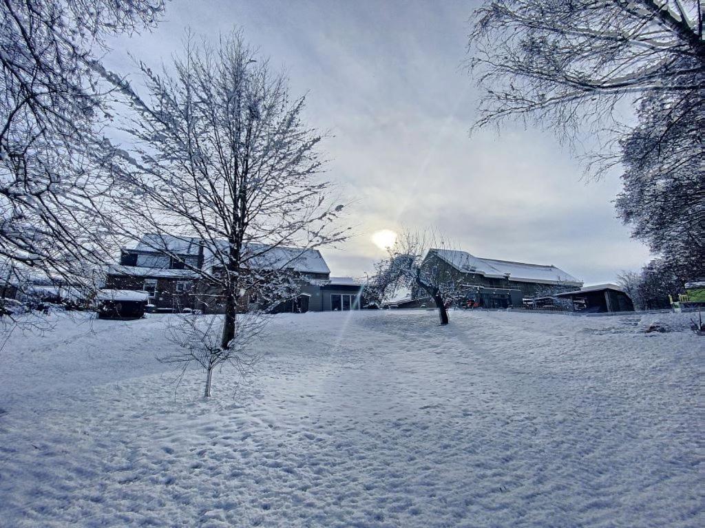 "Sans-Soucis" Ancienne Ferme Pleine De Vie Villa Theux Eksteriør billede